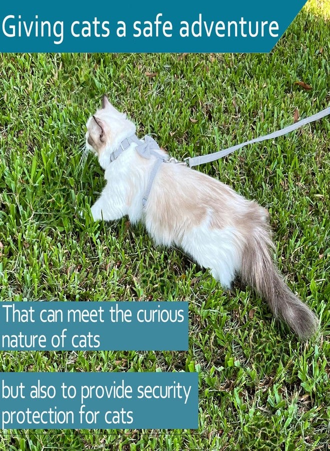 Ddzmz Cat Leash and Harness Set, Cat Harness Escape Proof Ddzmz Soft Mesh Breathable Adjustable Cat Vest Pet Harnesses for Walking Escape Proof Grey Color L Size for Pet Cat Kitten Puppy Rabbit Ferret(1Pack - Image 5