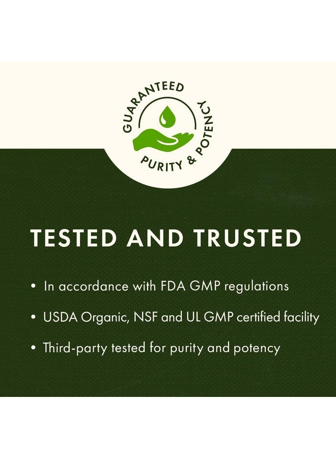 Swanson Sunflower Lecithin Brain Health Nervous System Support Non-GMO Soy-Free Vegetarian 16 oz (1lb) 454 gram Powder (3 Pack) - Image 4