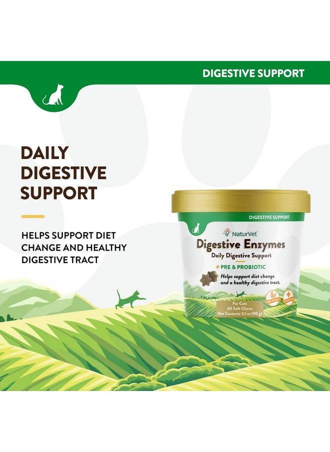 NaturVet - NaturVet - Digestive Enzymes for Cats Plus Probiotics - 60 Soft Chews - Helps Support Diet Change & A Healthy Digestive Tract - Aids in The Absorption of Vitamins & Minerals - 30 Day Supply - Image 1