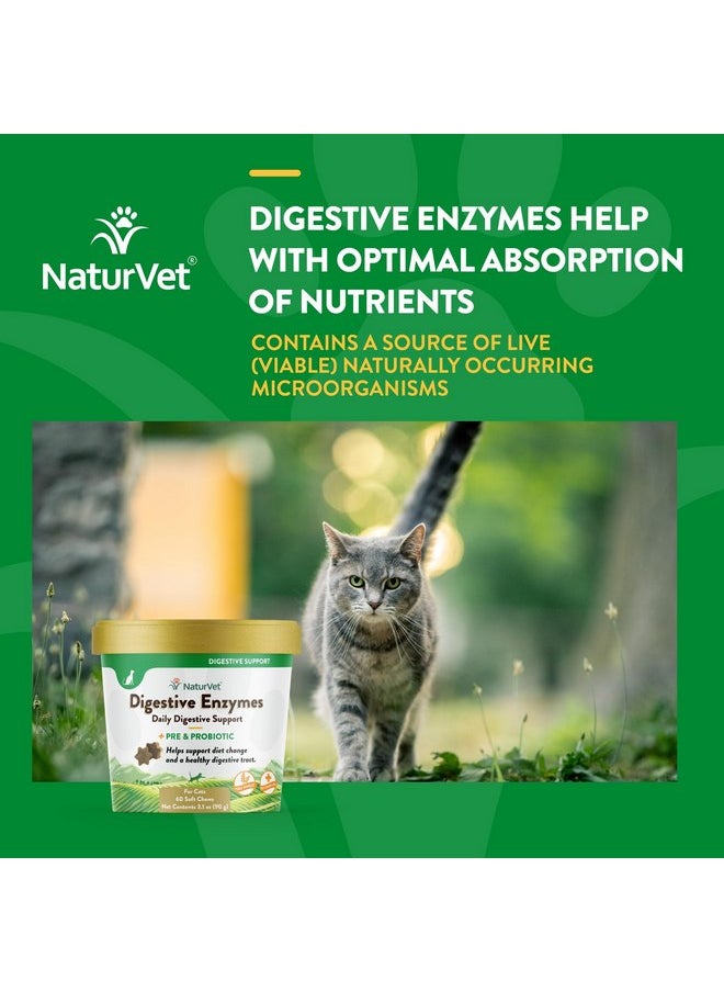 NaturVet - NaturVet - Digestive Enzymes for Cats Plus Probiotics - 60 Soft Chews - Helps Support Diet Change & A Healthy Digestive Tract - Aids in The Absorption of Vitamins & Minerals - 30 Day Supply - Image 1