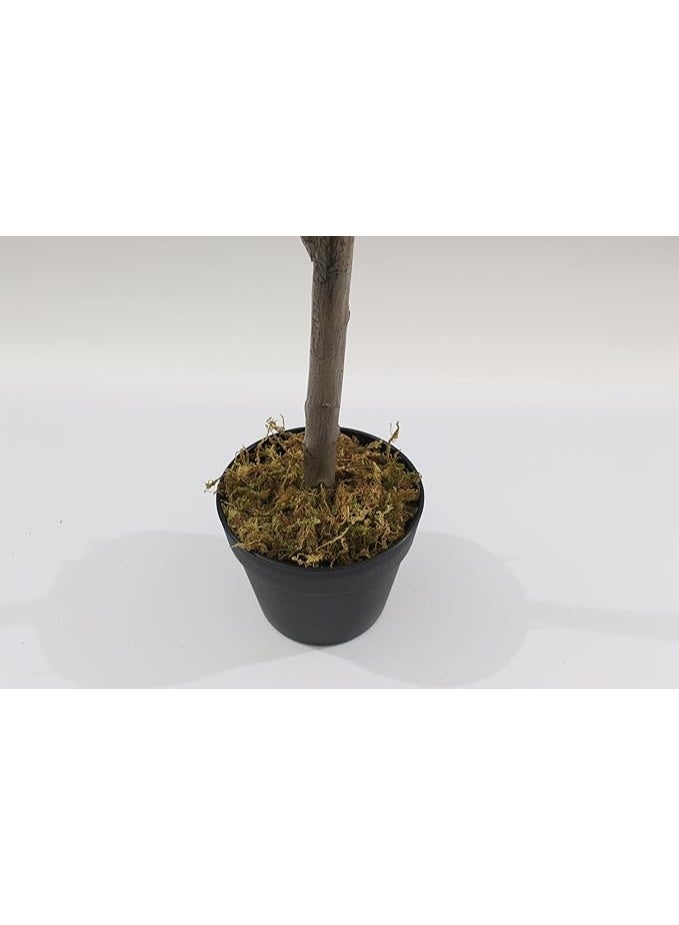 MARCOLO Artificial Olive Tree in Pot 120cm, Faux Indoor Plant with Realistic Green Leaves and Olives, Home Decor - Image 4