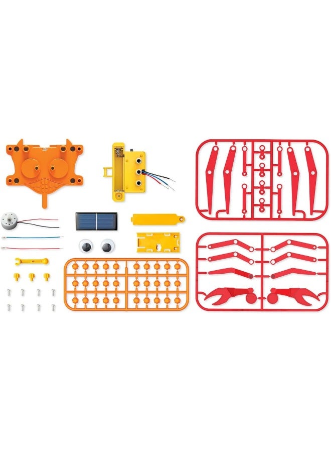 4M Green Science Hybrid Crabot – Build a Crawling Crab Robot Powered by Solar or Battery – DIY STEM Toy for Kids Ages 5+ – Educational Robotics Kit for Boys and Girls to Learn Green Energy | 00-03448 - Image 4