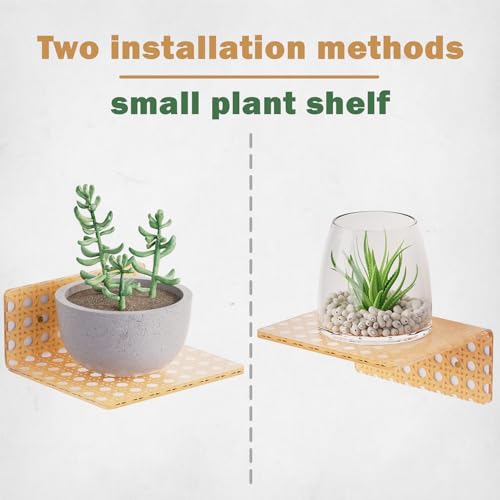 QsQueen Boho Acrylic Wall Shelves 2 Pack, Small Floating Shelf with Rattan Pattern, Clear Display Ledges for Funko Pop Figures, Plants, Perfume & Home Decor, Wall Mount for Bedroom, Living Room - Image 4