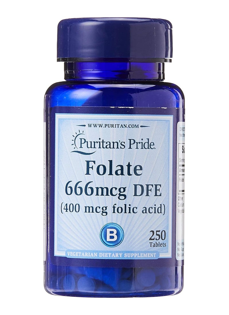 Puritan's Pride Puritan's Pride Folic Acid 400 mcg – 250 Tablets for Heart Health & Cellular Function  - Image 1
