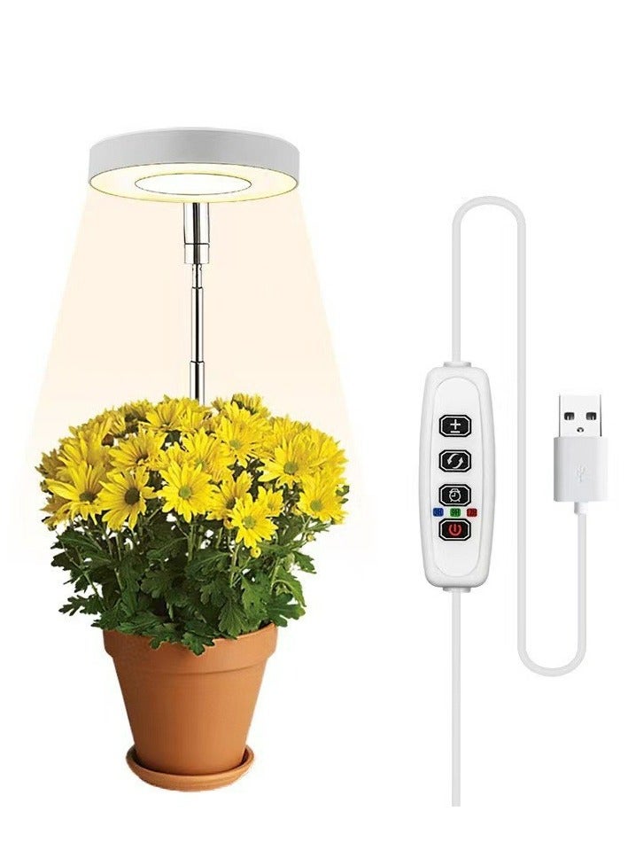 Generic Plant Lights for Indoor Growing Sun Simulation Fill Lamp for Flower LED Full Spectrum Grow Lights for Indoor Plants with 360 - Image 2