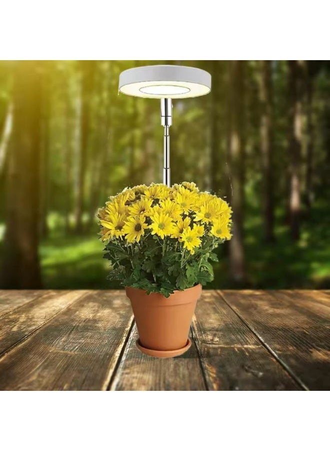 Generic Plant Lights for Indoor Growing Sun Simulation Fill Lamp for Flower LED Full Spectrum Grow Lights for Indoor Plants with 360 - Image 5