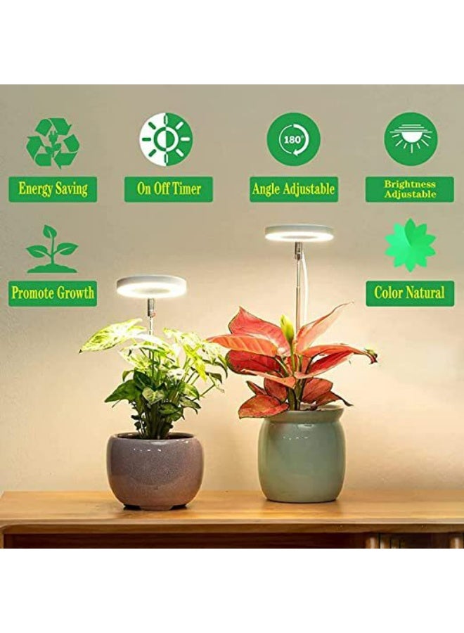 Generic Plant Lights for Indoor Growing Sun Simulation Fill Lamp for Flower LED Full Spectrum Grow Lights for Indoor Plants with 360 - Image 3