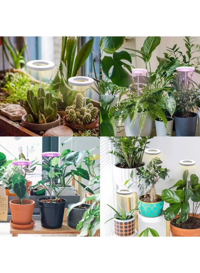 Generic Plant Lights for Indoor Growing Sun Simulation Fill Lamp for Flower LED Full Spectrum Grow Lights for Indoor Plants with 360 - Image 4