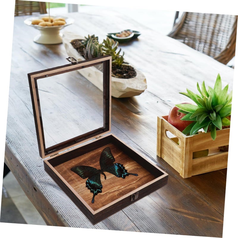 Butterfly Specimen Display Box Shadow Wooden Case Multi Functional Jewelry Storage Coins Crafts Home Decor - Image 4