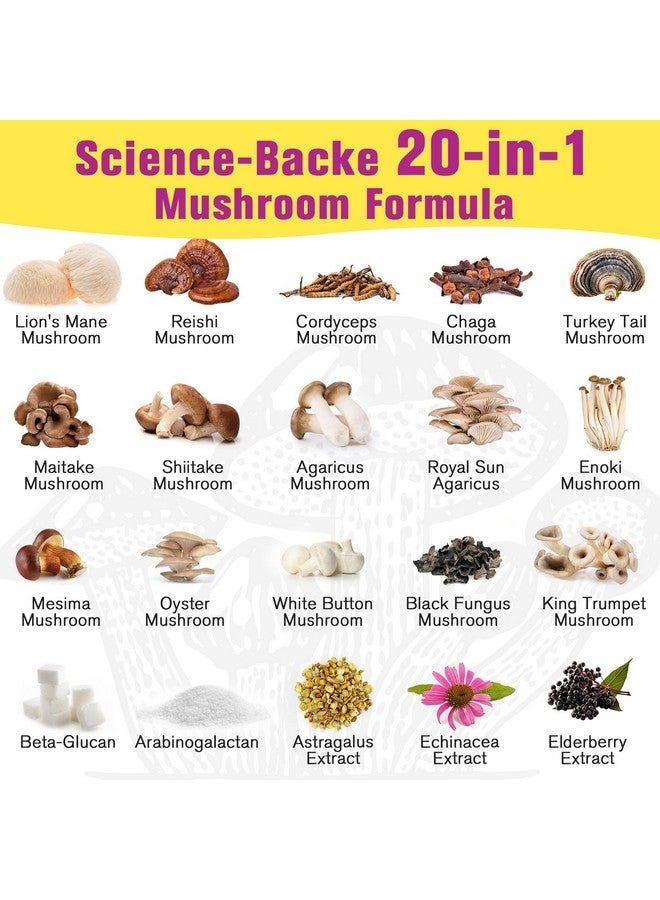 Dmeisy Mushroom Powder | for Mushroom Coffee, 20-in-1 Mushroom Complex with Lions Mane Powder, Reishi, Cordyceps, Turkey Tail & Herbs, Brain Supplements for Memory and Focus, Energy, Immunity - 5.3oz - Image 5