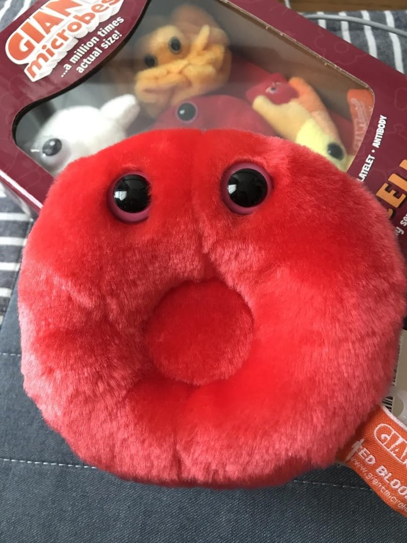 Giant Microbes GIANTmicrobes Red Blood Cell Plush, Blood Drop Plush, Blood Bank, Gifts for Lab Techs, Hematology, Phlebotomy Gifts, Leukemia Awareness, Immunology Gift, Lymphatic System - Image 5