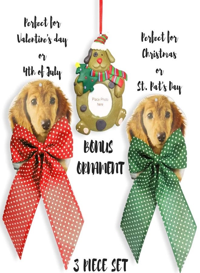 BANBERRY DESIGNS Dog Collar - Christmas Dog Collar - Set of 2 - Red and Green Polka Dot Bows for Pets - Quick Release Plastic Buckle - Bonus Pet Photo Ornament - Each Bow Measures 9" x 9" - 3 Piece Gift - Image 4
