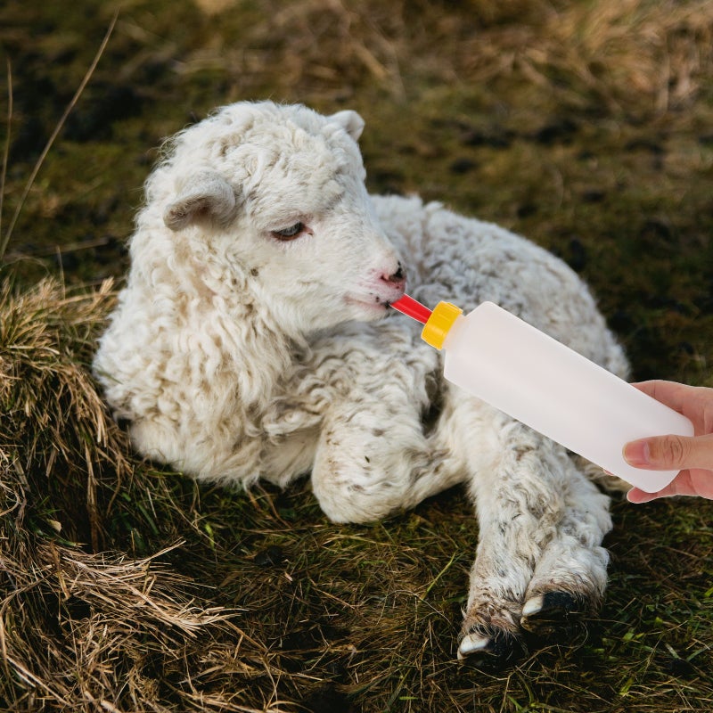 1 Set Lamb Bottle Bottle Measuring Nursing Cup Baby Goat Tool - Image 4