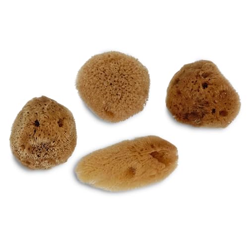 Lullingworth® Artist Natural Sea Sponges: Unbleached 10 Pack 2-4 inch Value Tool Set-Faux Painting Effects, Acrylic Paint, Watercolor, Texturing, Marbling, Clay, Pottery, Ceramics, Crafts & Hobby - Image 4