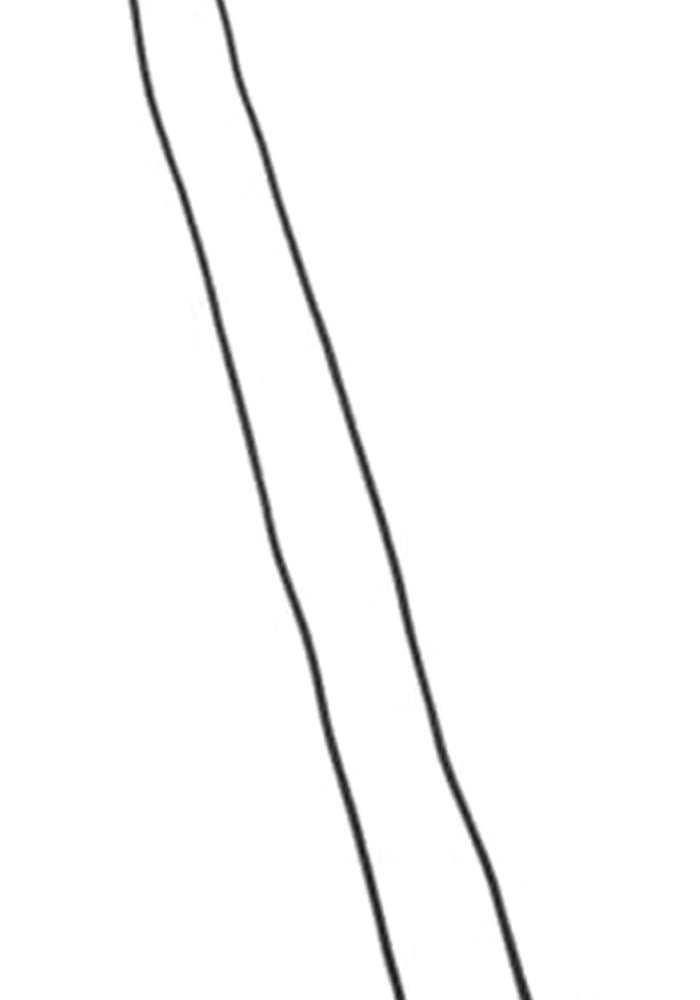 Vuzmode Parcel Shelf String Cord - Image 2