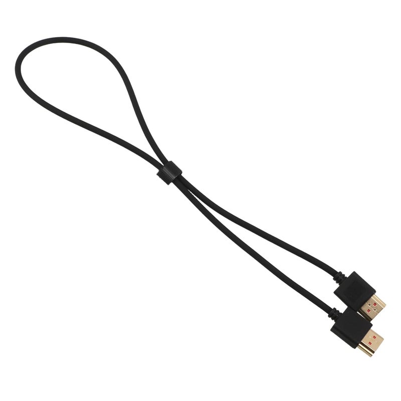 BESPORTBLE 6 Feet DisplayPort Cable High Speed Monitor Projector Video Adapter Cord - Image 2