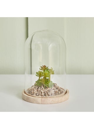 Destan Succulent Plant in Glass Dome and Wooden Base 9 x 14.5 x 9 cm - pzsku/ZF5942083E268E5BFD5E2Z/45/_/1702644101/acba7753-0d50-4bc8-ac1b-10eeec61fa73