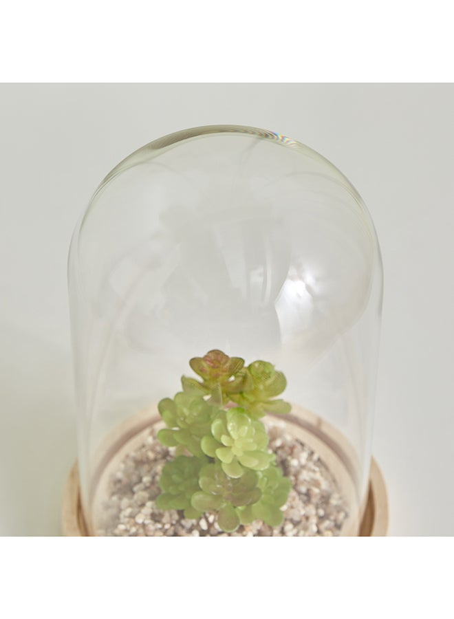 Destan Succulent Plant in Glass Dome and Wooden Base 9 x 14.5 x 9 cm