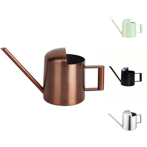 YISSSN Mini Watering Can, 10oz/300ml Stainless Steel Long Spout Small Watering Can for Indoor Plants Succulents, Herbs (Bronze) - Image 1