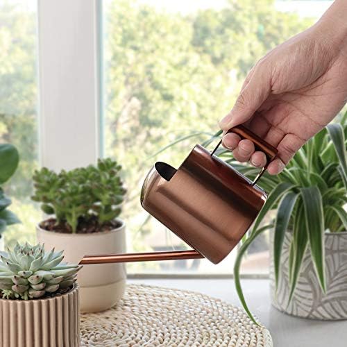 YISSSN Mini Watering Can, 10oz/300ml Stainless Steel Long Spout Small Watering Can for Indoor Plants Succulents, Herbs (Bronze) - Image 2