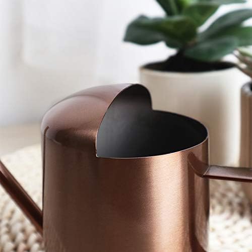 YISSSN Mini Watering Can, 10oz/300ml Stainless Steel Long Spout Small Watering Can for Indoor Plants Succulents, Herbs (Bronze) - Image 4