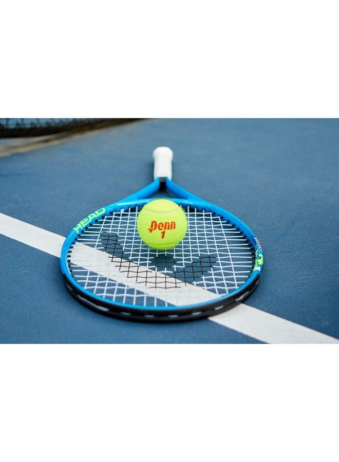 Championship- Regular Duty Felt Pressurized Tennis Balls - 1 Can, 3 Balls