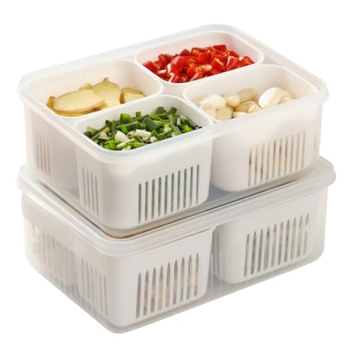hago Fridge Storage Boxes, Fridge Organiser, Container for Kitchen Storage Set, Plastic containers for kitchen storage Durable Containers for Storage for Efficient Organisation (2) (2 NOS (4)) - Image 1