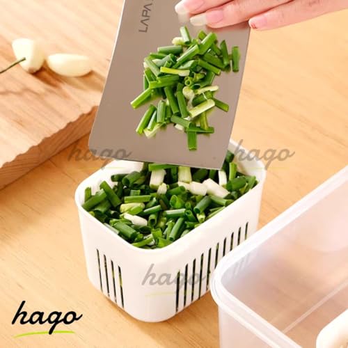 hago Fridge Storage Boxes, Fridge Organiser, Container for Kitchen Storage Set, Plastic containers for kitchen storage Durable Containers for Storage for Efficient Organisation (2) (2 NOS (4)) - Image 5