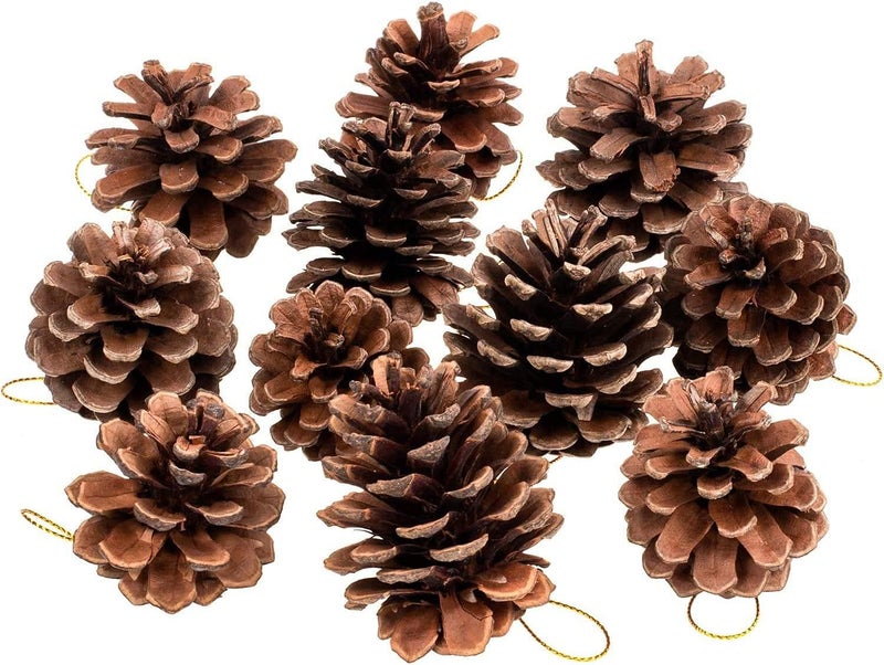 Christmas Natural Pine Cones Bulk Garland Ornaments Pendant for Xmas Tree DIY Craft Fall Thanksgiving Hanging Decoration - Image 1