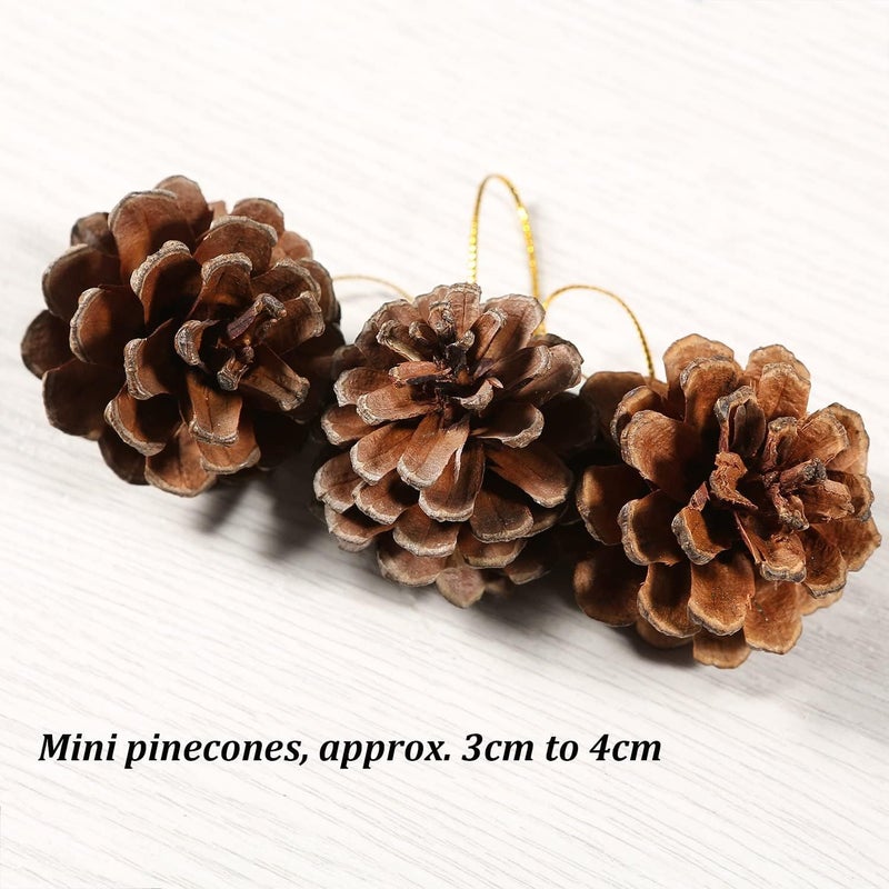 Christmas Natural Pine Cones Bulk Garland Ornaments Pendant for Xmas Tree DIY Craft Fall Thanksgiving Hanging Decoration - Image 3