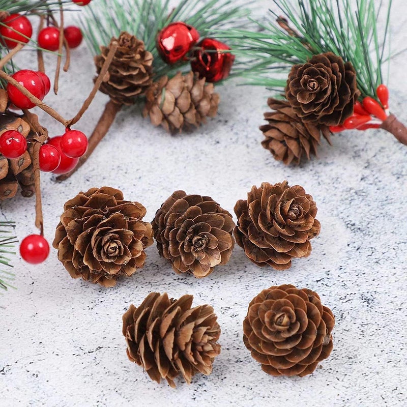 Christmas Natural Pine Cones Bulk Garland Ornaments Pendant for Xmas Tree DIY Craft Fall Thanksgiving Hanging Decoration - Image 5