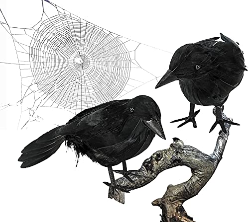 Moonear 2 PCS Halloween Realistic Black Feather Crows Lifelik Ravens Halloween Party Outdoor Decorations Birds Prop - Image 3