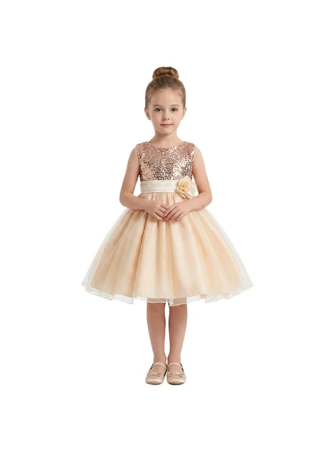 Bidani Sequin Bodice & Layered Tulle Tutu - Champagne