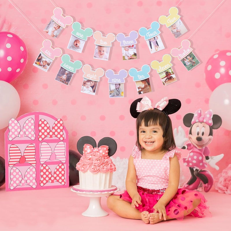 HIKLO Mouse 12 Months Photo Banner - Pastel Rainbow First Birthday Photo Garland, Happiest Birthday on Earth Banner, Mouse Party Decor, Mouse Monthly Milestone Garland - Image 3