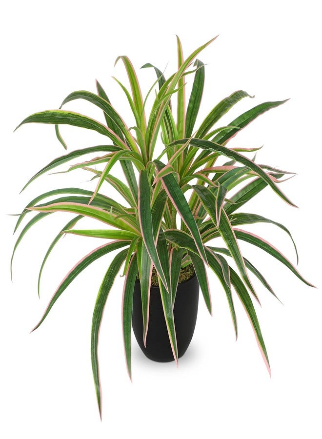 GnFlus Fake Hanging Plant, Faux Spider Plant in Black Pot Artificial Grass Plants 13 Inch Faux Potted Plants for Home Office Table Shelf Indoor Outdoor Pink and Green - Image 1