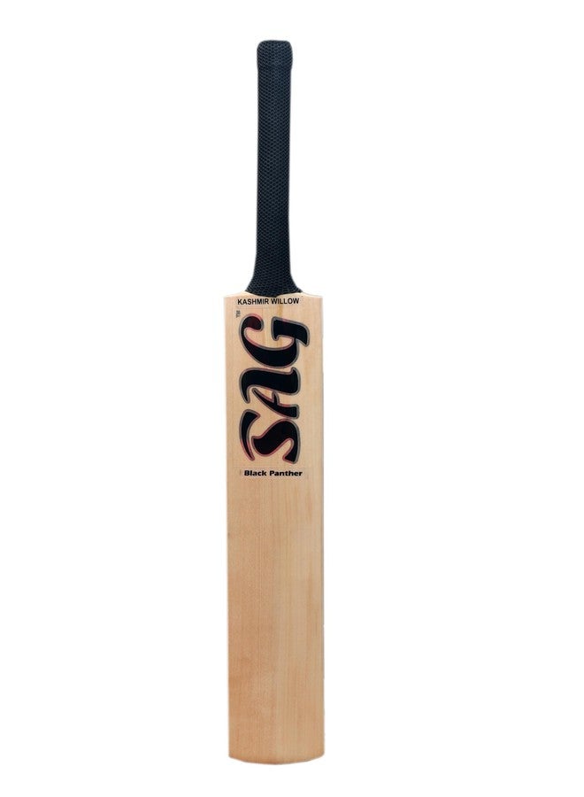 تبلد مضرب كريكيت SAG Sports Black Panther Bahubali من الجلد | مضرب احترافي كامل الحجم مصنوع من خشب الصفصاف الكشميري | ضربات قوية وأداء متين | مثالي للكرة الموسمية - Image 1