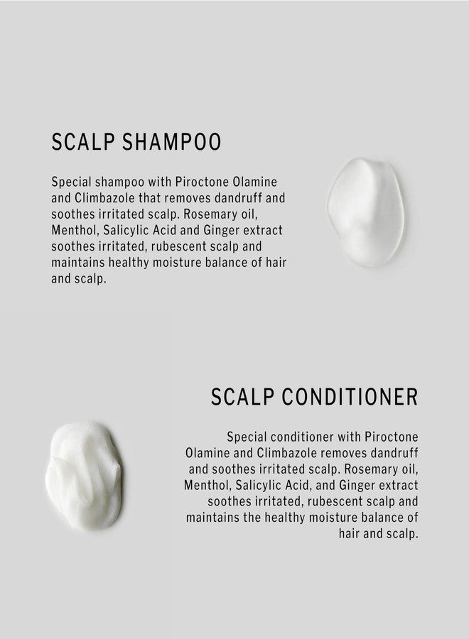 SACHAJUAN Scalp Shampoo and Conditioner Set | Rosemary Oil to Soothe, Balance & Hydrate Dry Flaky Scalp | Lightweight Hydration & Scalp Relief | Vegan & Paraben-Free | Pack of 2 (8.4 oz) - Image 2