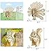 i-CHONY 3D Wooden Wild Animal Puzzle 6 Piece Set Wood Wild Animals Skeleton Assembly Model Kits Wooden Crafts DIY Brain Teaser Puzzle STEM 3D Puzzle Gifts for Adults Teens - Image 4