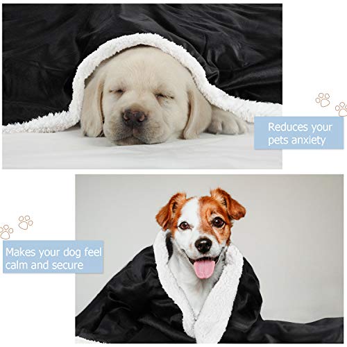 Kritter Planet Dog Blankets for Small Dogs, Soft Puppy Blanket, Pet Blankets for Cats, Lightweight & Washable, Perfect for Dog Beds, Car Seats, Creat, 30x40 inches - Image 2