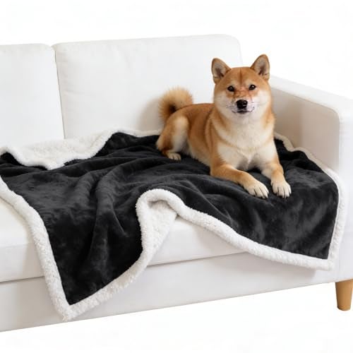 Kritter Planet Dog Blankets for Small Dogs, Soft Puppy Blanket, Pet Blankets for Cats, Lightweight & Washable, Perfect for Dog Beds, Car Seats, Creat, 30x40 inches - Image 1