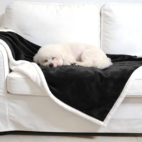 Kritter Planet Dog Blankets for Small Dogs, Soft Puppy Blanket, Pet Blankets for Cats, Lightweight & Washable, Perfect for Dog Beds, Car Seats, Creat, 30x40 inches - Image 4