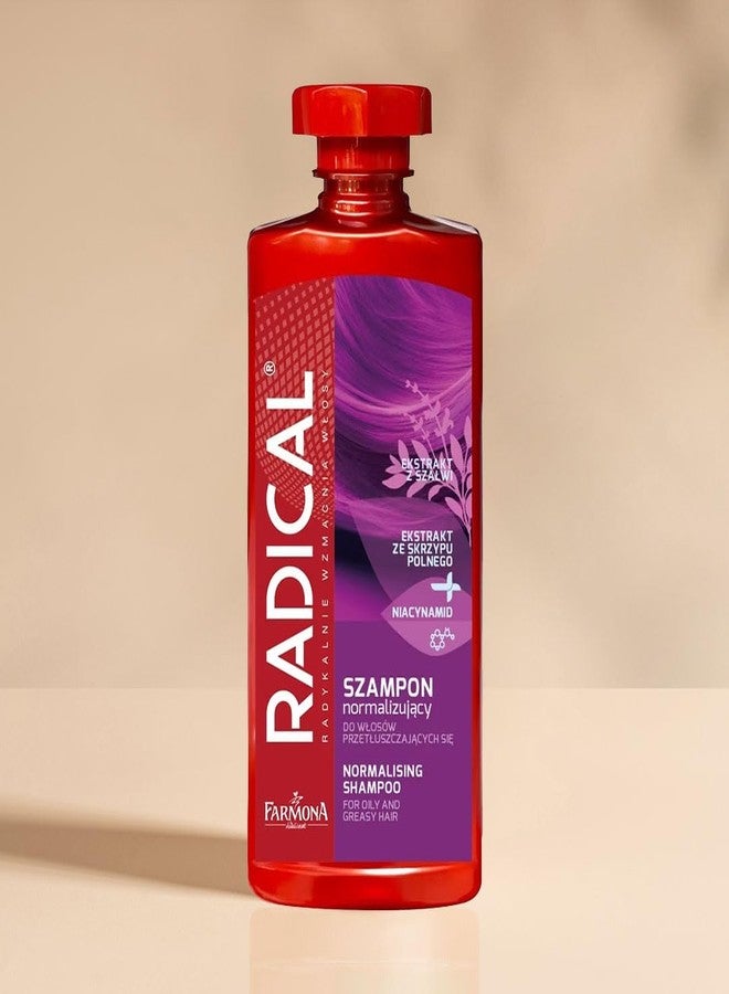 Farmona Radical Shampoo Normalising Oily and Greasy Hair 400ml/13.53oz - Image 2
