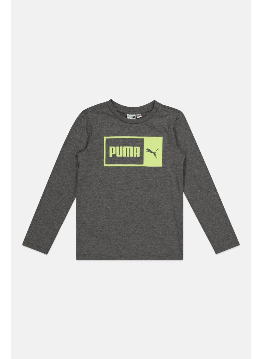 PUMA Kids Boy 3 Pieces Brand Logo T Shirt Set, Grey  - Image 3