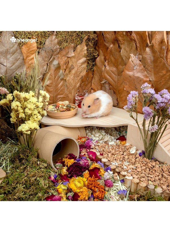 نيتينجيل منصة خشبية للعب الهامستر من نايت أنجل للهامستر السوري القزم والجربوع والفئران والديجوس أو غيرها من الحيوانات الأليفة الصغيرة (مثلث - ارتفاع 5.9 بوصة، خشب بورليوود) - Image 5