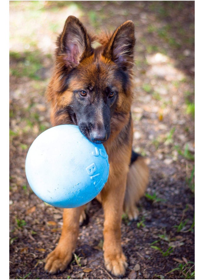Jolly Pets - Jolly Pets Bounce-n-Play Dog Toy Ball, 8 Inches/Large, Blueberry, (Model: 2508 BB) - Image 1