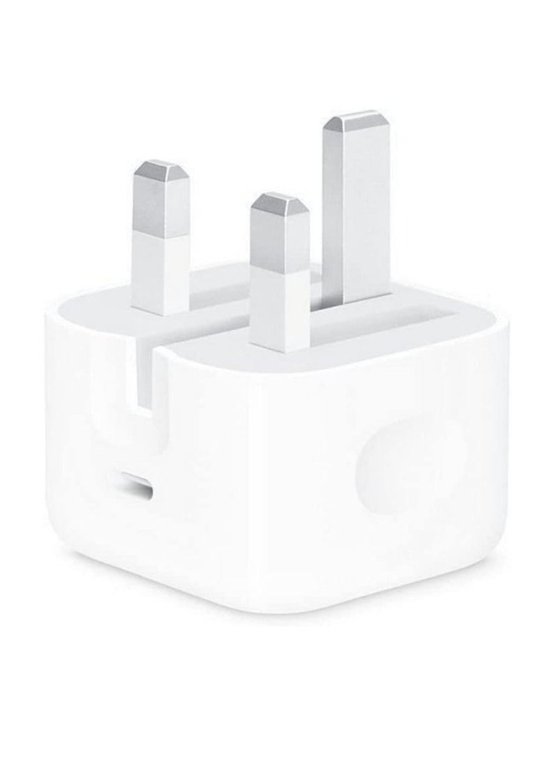 LEDIN 20W USB-C Power Adapter (Folding Pins) Compatible with iPhone 12 Pro Max, iPhone 11 Pro Max, iPhone SE, iPad, and More - Image 1