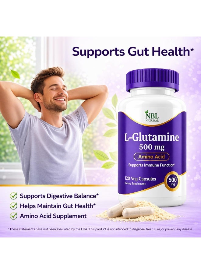 L-Glutamine 500 Mg, Amino Acid Supplement, Supports Immune Function, Muscle Recovery, 120 Veg Capsules