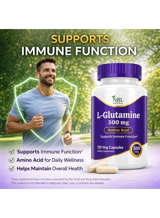 L-Glutamine 500 Mg, Amino Acid Supplement, Supports Immune Function, Muscle Recovery, 120 Veg Capsules