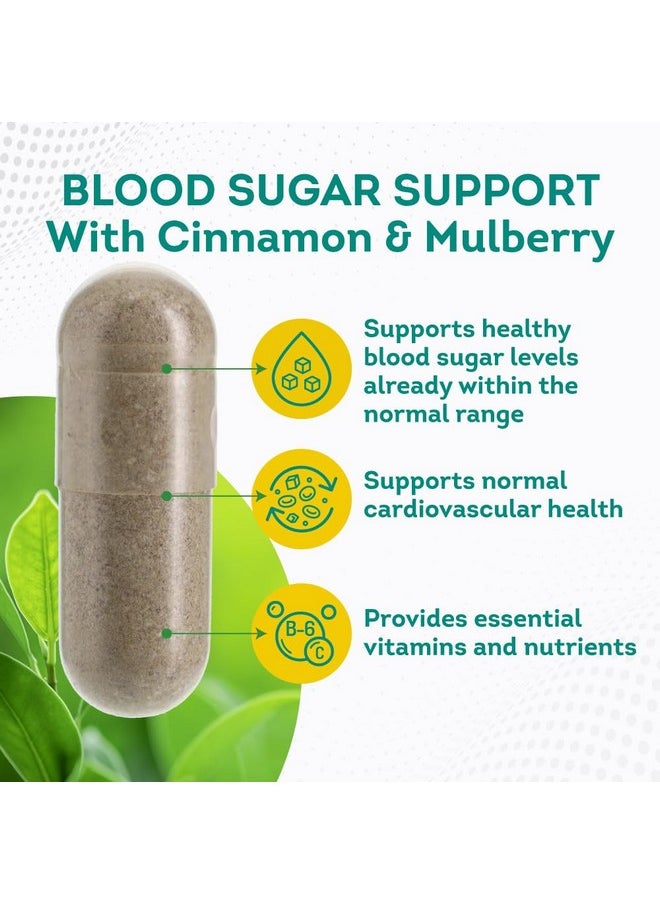 PUREPREMIUM SUPPLEMENTS - PurePremium Supplements Blood Sugar Support - Cinnamon Supplements to Support Blood Sugar Levels Already in The Normal Range - Capsules with Bitter Melon, Mulberry, Zinc, Biotin, Vitamin C - 120 Count - Image 1