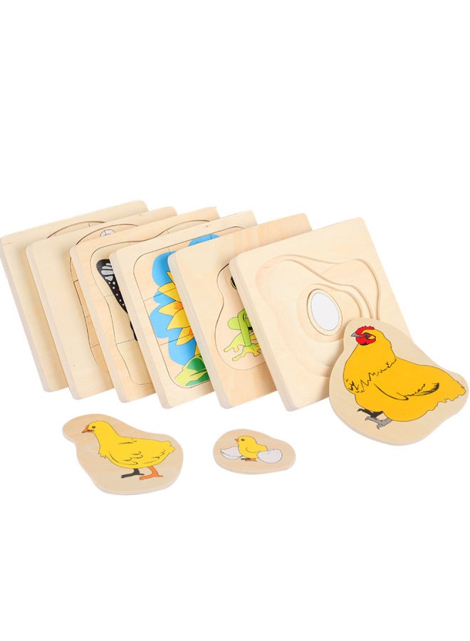 Early Education Animals And Plants Men Women's Growth Process Multilayer Jigsaw Puzzle Puzzle Wooden Toys-Color:Frog Growth Process - Image 5